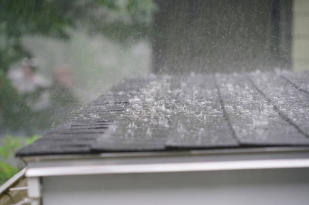 Best Roof Maintenance and Cleaning  in Troy, TX