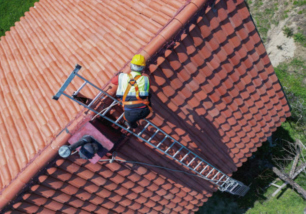 Best Roof Moss and Algae Removal  in Troy, TX