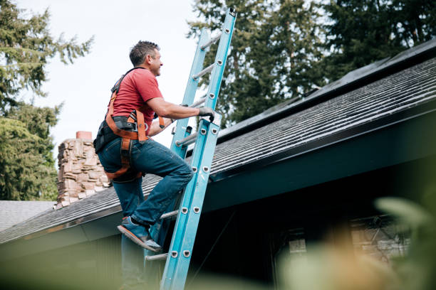 Best Roof Maintenance and Cleaning  in Troy, TX